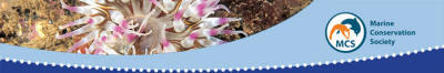 Marine Conservation Society